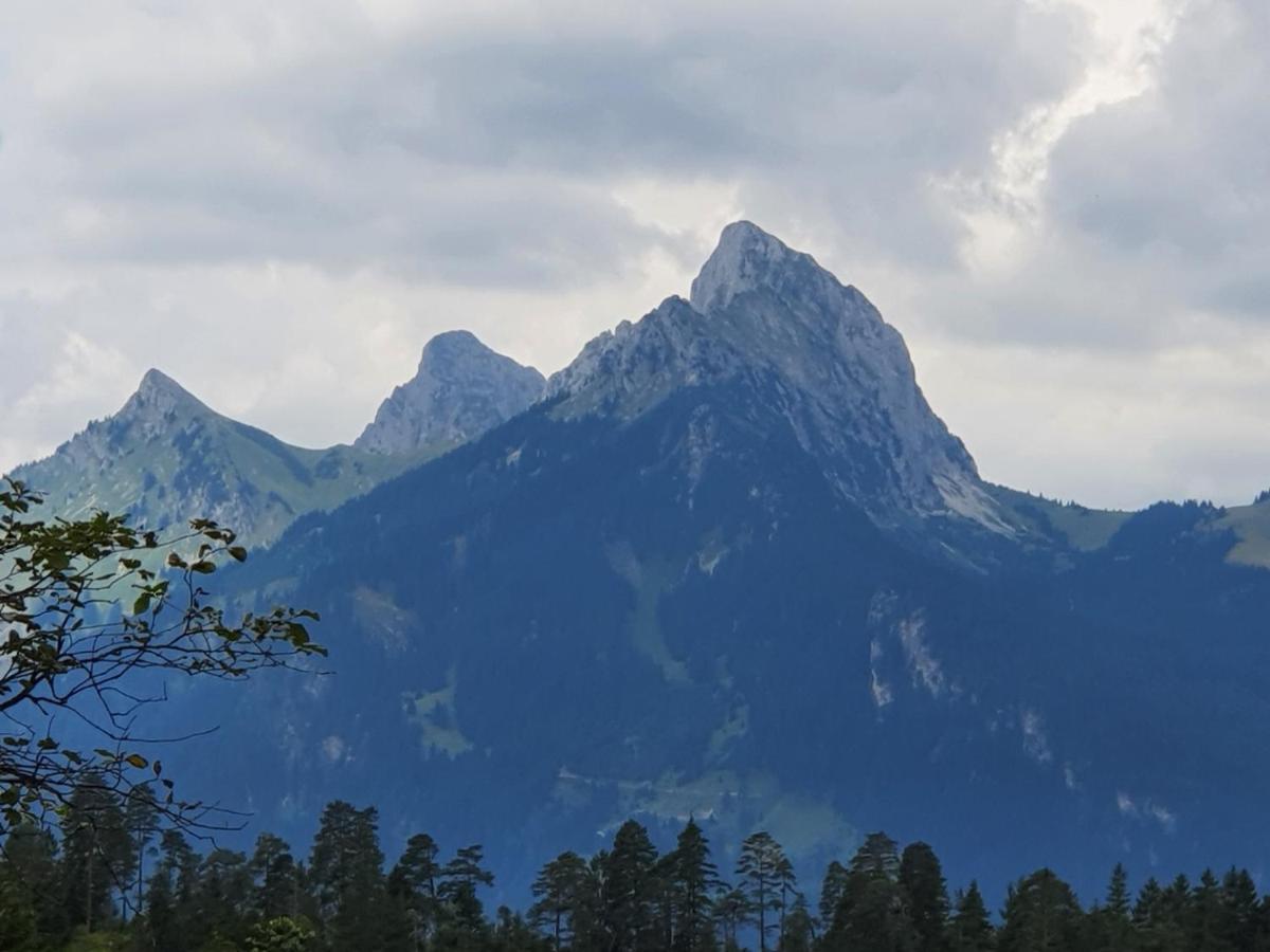 Ferienwohnung Tiroler Auszeit & Whirlpool Höfen Buitenkant foto